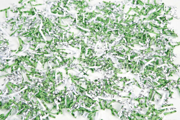 PAPIERVERNIETIGER FELLOWES 225CI 4X38MM