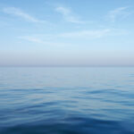 MUISMAT FELLOWES NATUUR BLAUWE OCEAAN 228X203MM