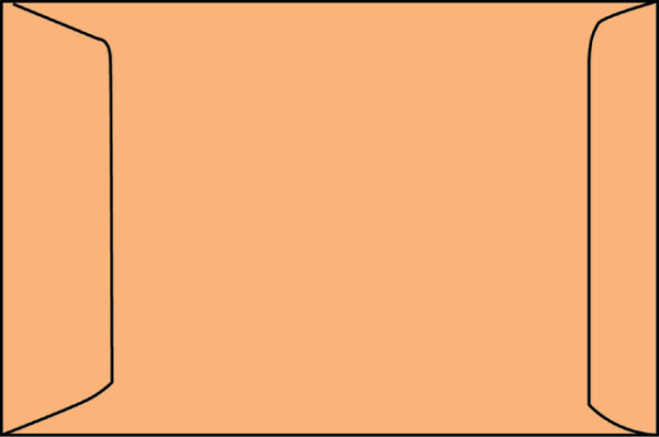 ENVELOP AKTE 230X310MM ZELFKL 90GR BRUIN