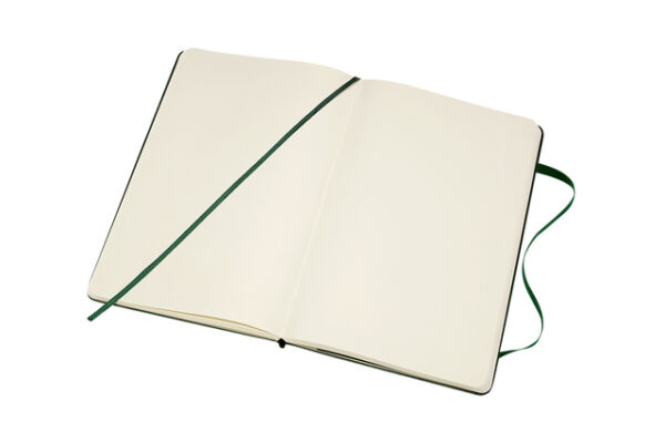 NOTITIEBOEK MOLESKINE L 130X210MM BLANCO HC GREEN