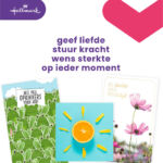 WENSKAART HALLMARK NAVULSET BETERSCHAP 12 STUKS