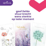 WENSKAART HALLMARK NAVULSET DEELNEMING 10 STUKS