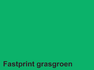 KOPIEERPAPIER FASTPRINT A4 80GR GRASGROEN